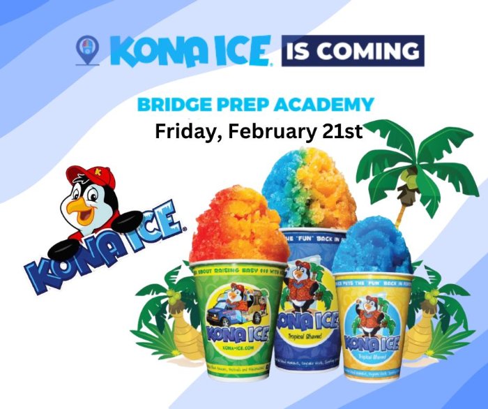 Kona Ice