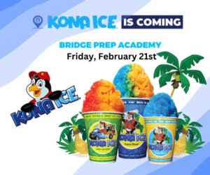 Kona Ice